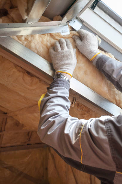 Best Insulation Maintenance and Repair in Dexter, MI