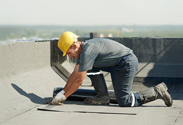 Best Residential Insulation in Dexter, MI