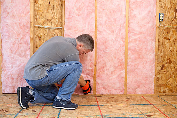Best Residential Insulation in Dexter, MI